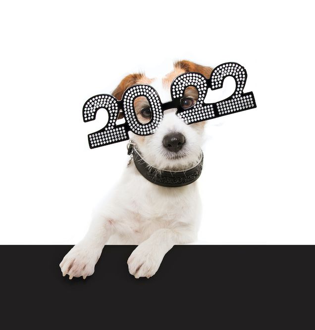 Question of the Week